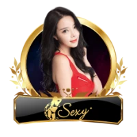 skyplay789